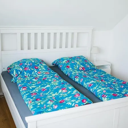 Stylo 2.0 * Целле